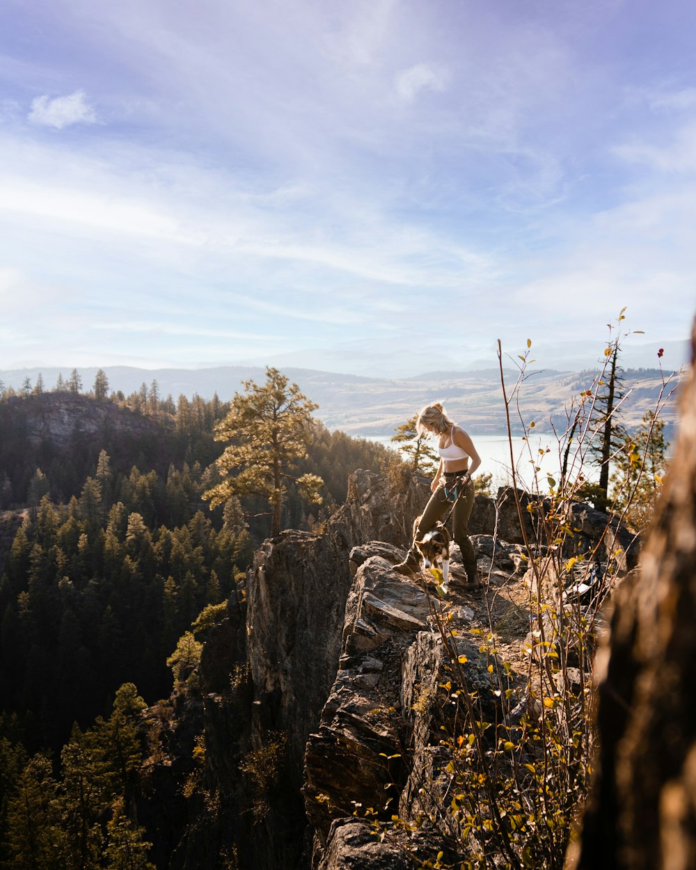 a man standing on top of a cliff next to a forest