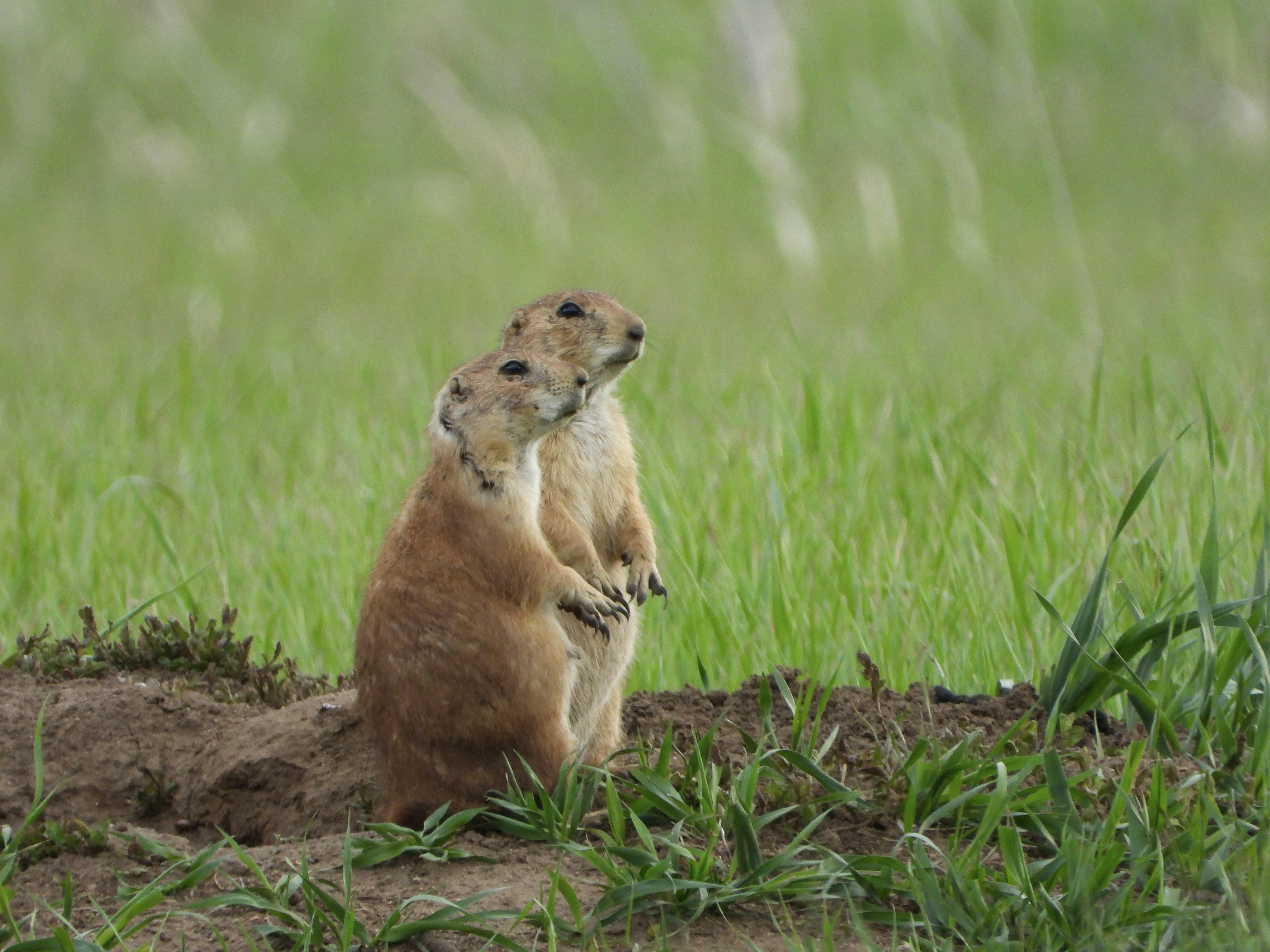 Photo by evergreene24