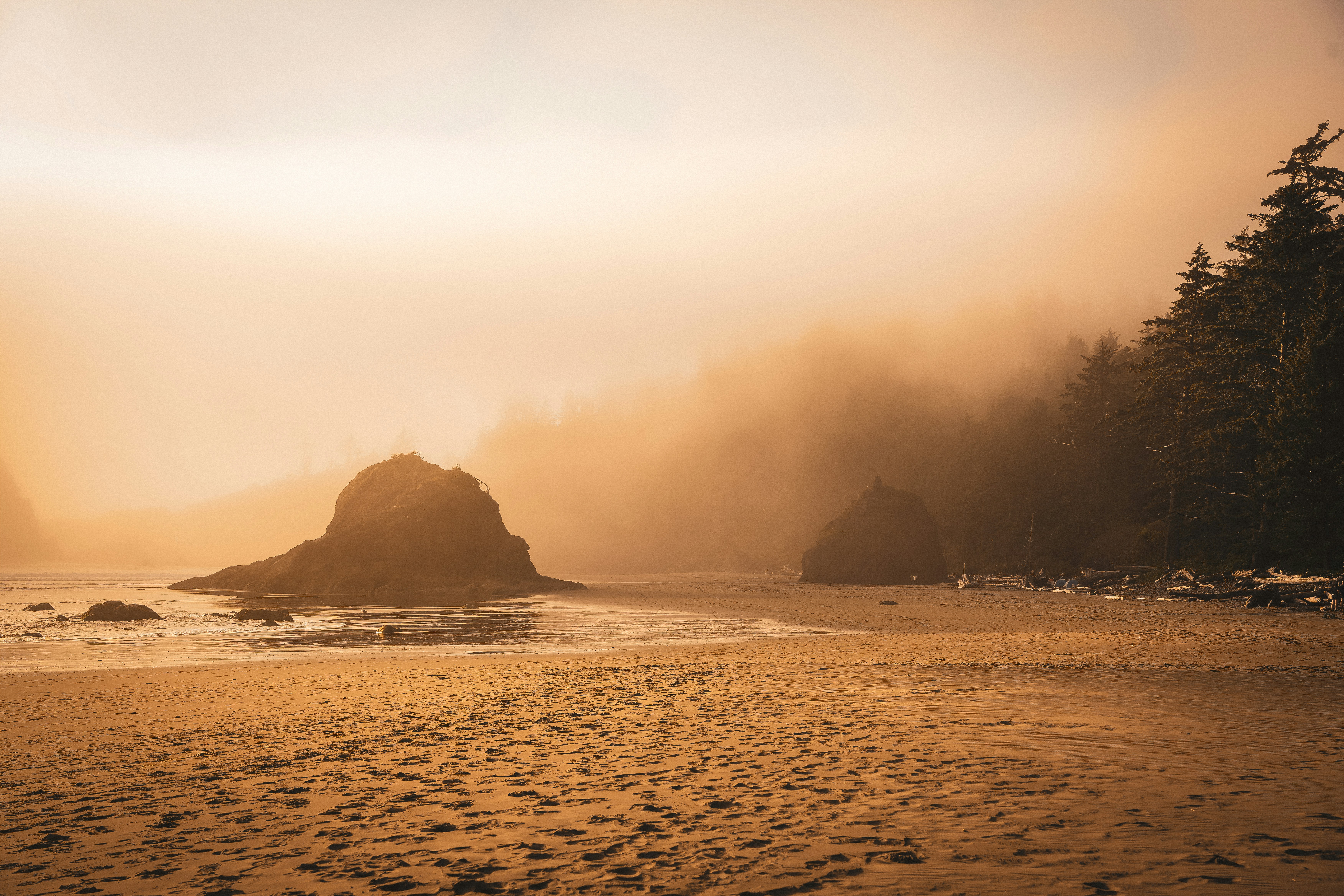 a sandy beach with footprints in the sand