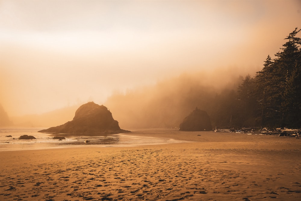 a sandy beach with footprints in the sand