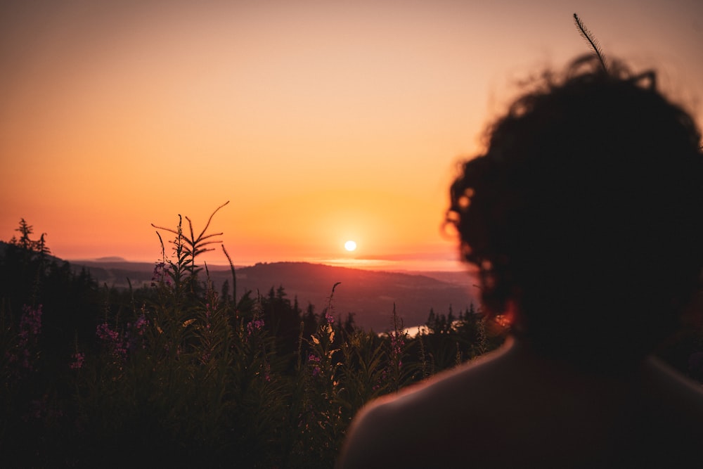 a person looking at the sunset over a valley