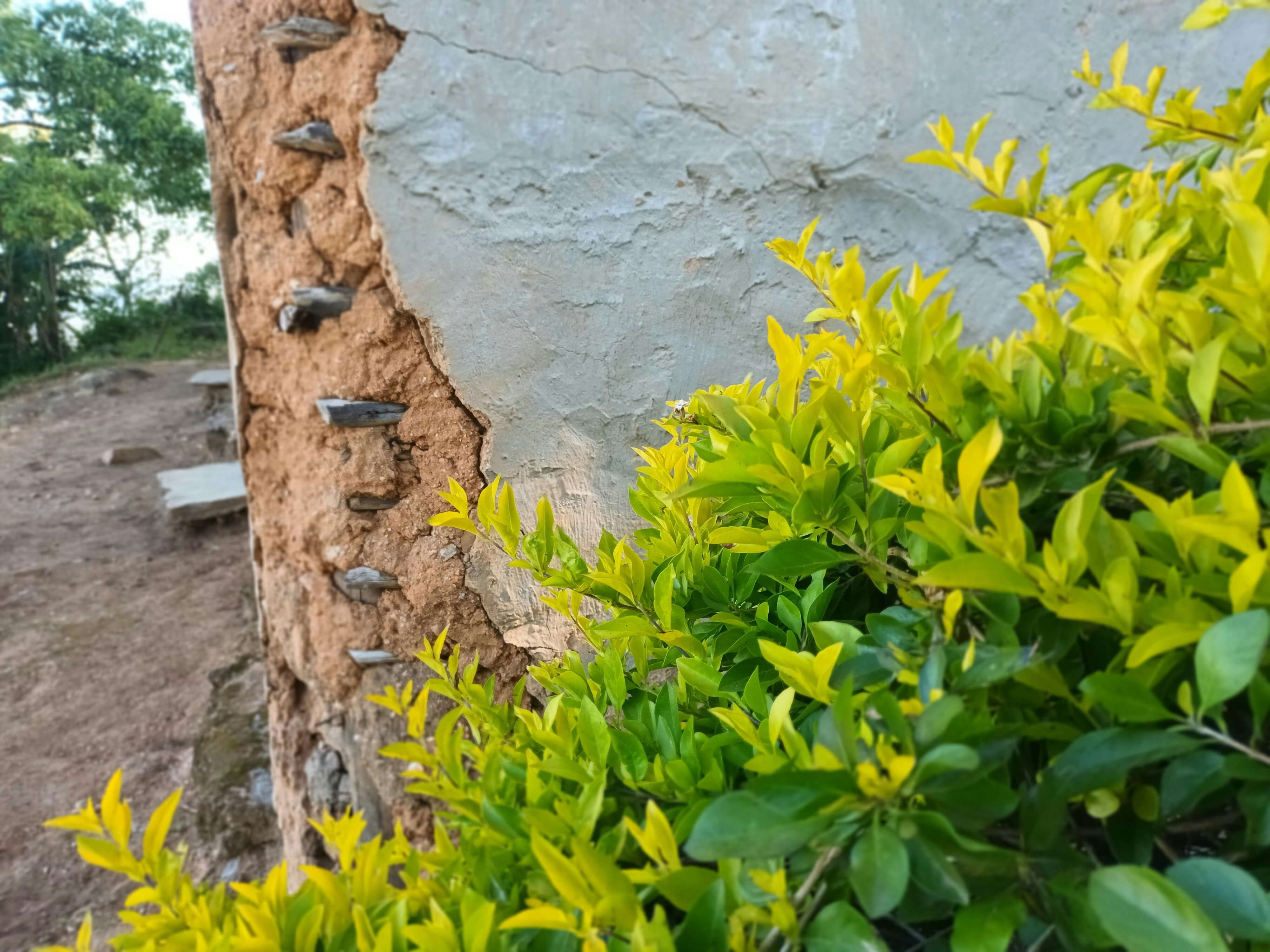 Mbabane, Eswatini - Nature photography