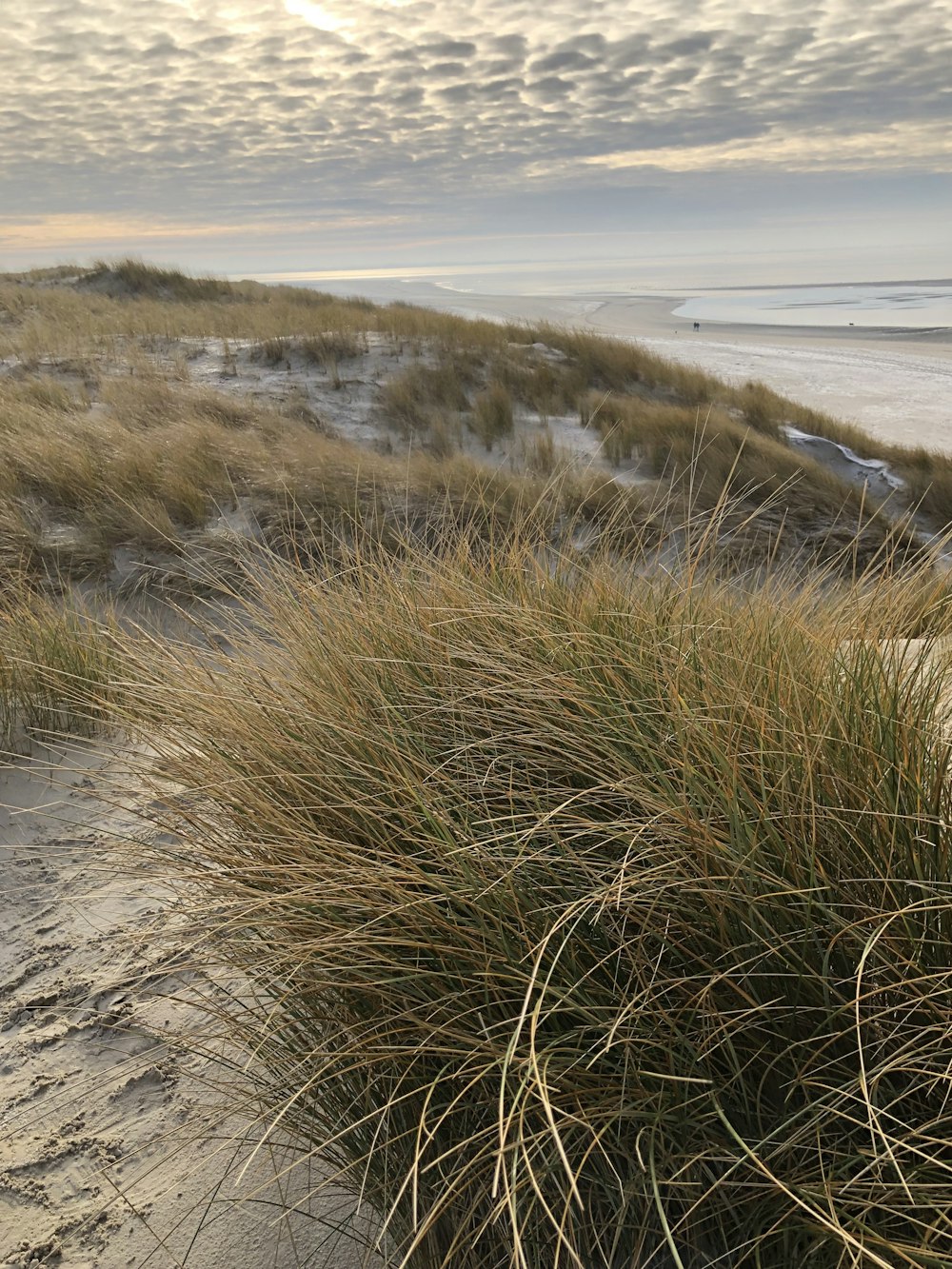 a bench sitting on top of a sandy beach