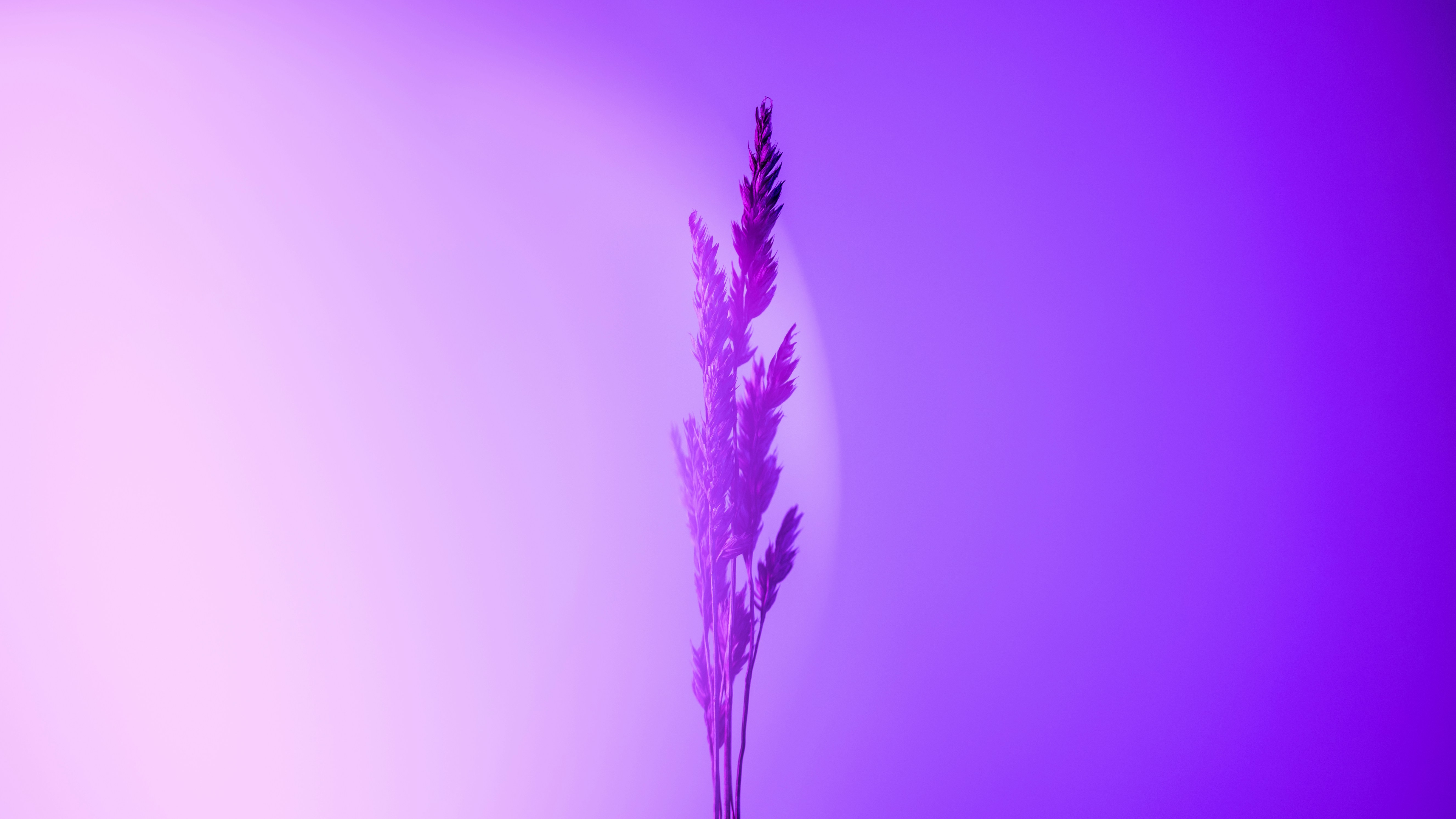 Photo by marekpiwnicki