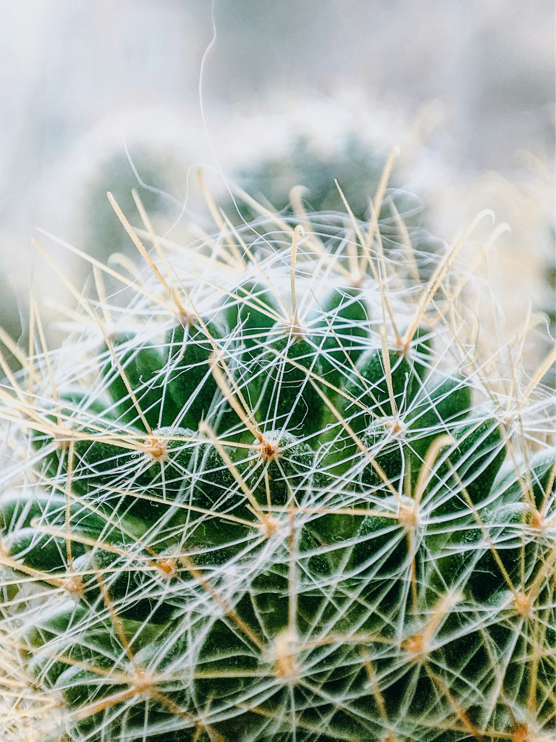 Photo by unsplash_makar