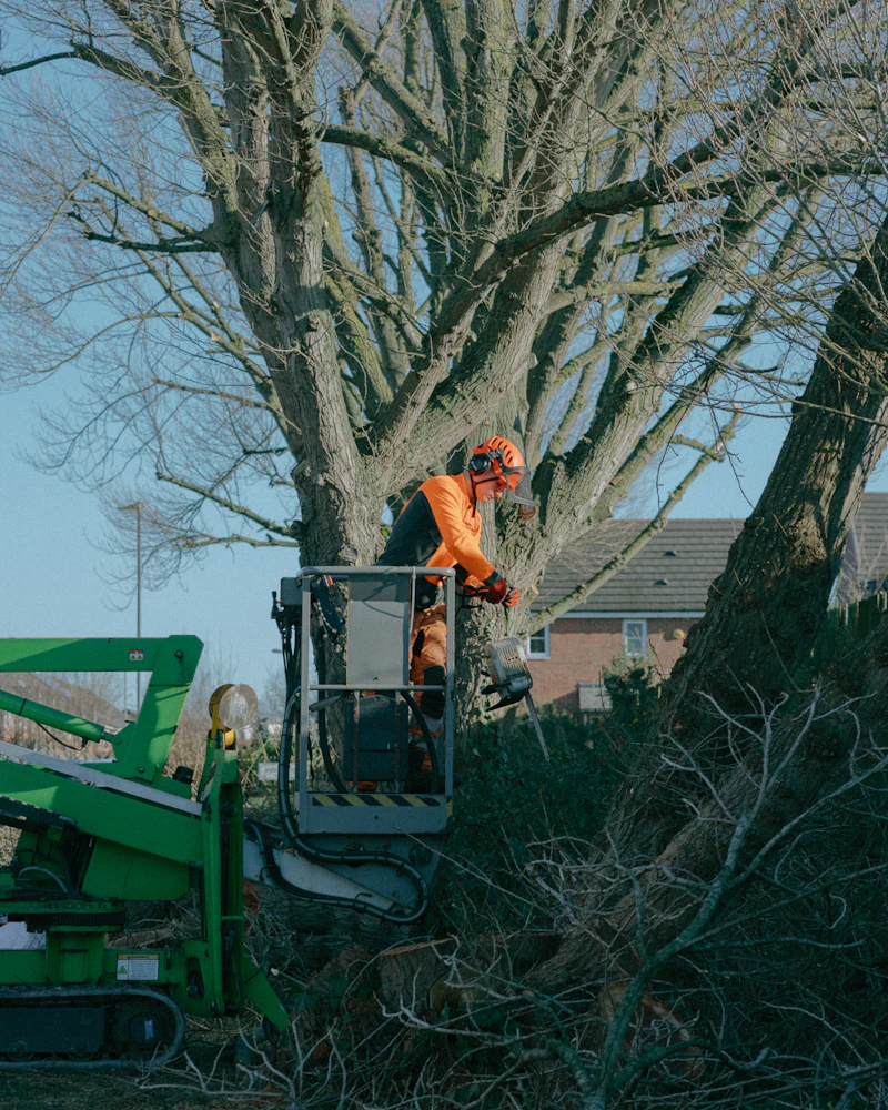 Bucket work and chipping on a removal job