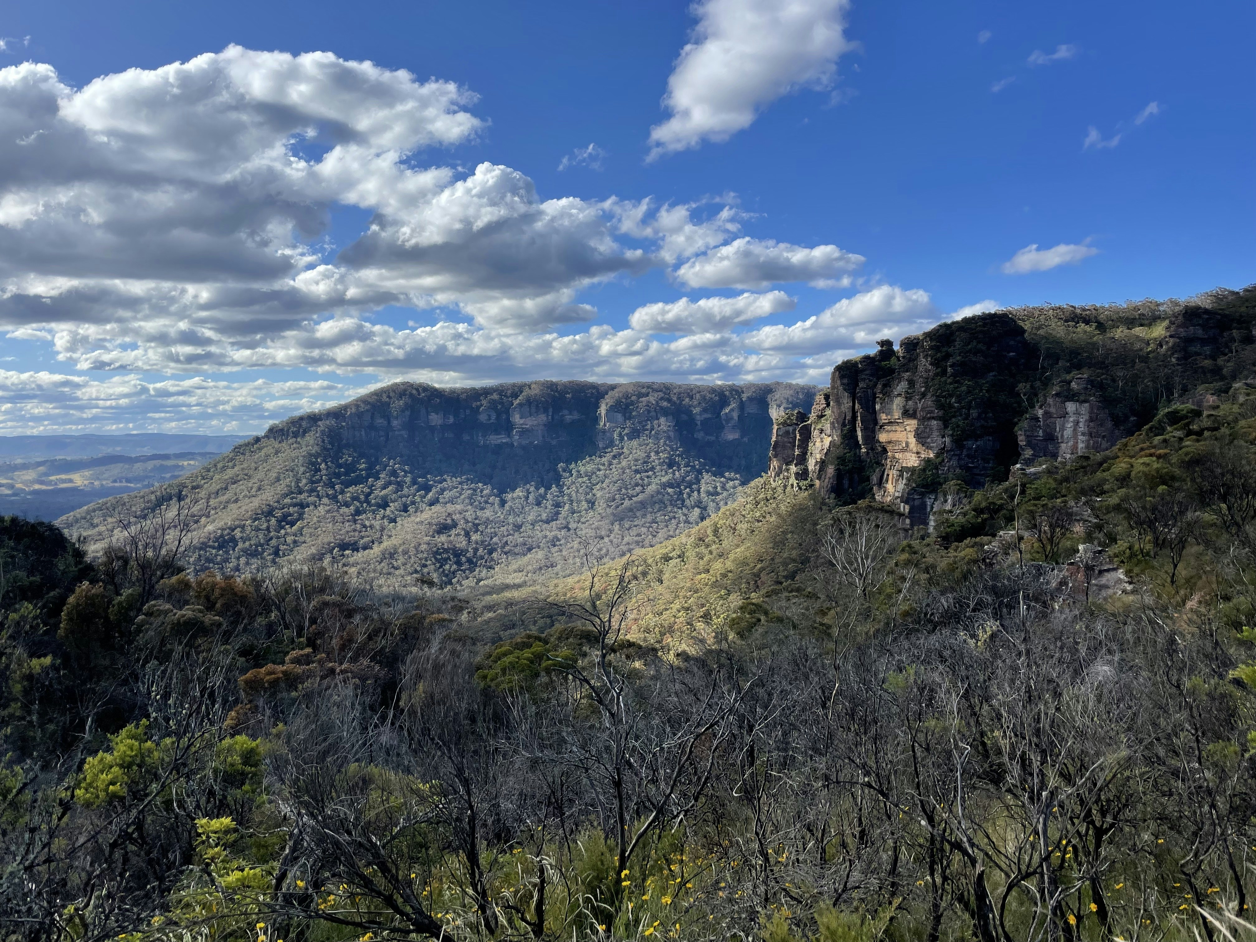 une vue panoramique d’une chaîne de montagnes avec des arbres et des buissons