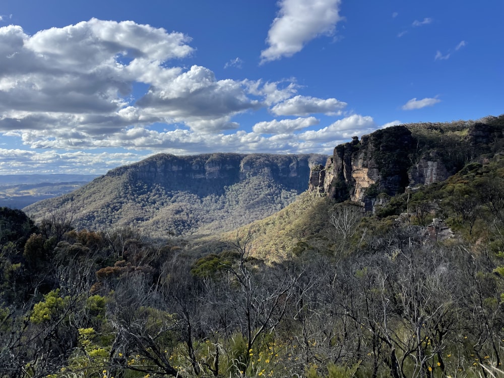 a scenic view of a mountain range with trees and bushes