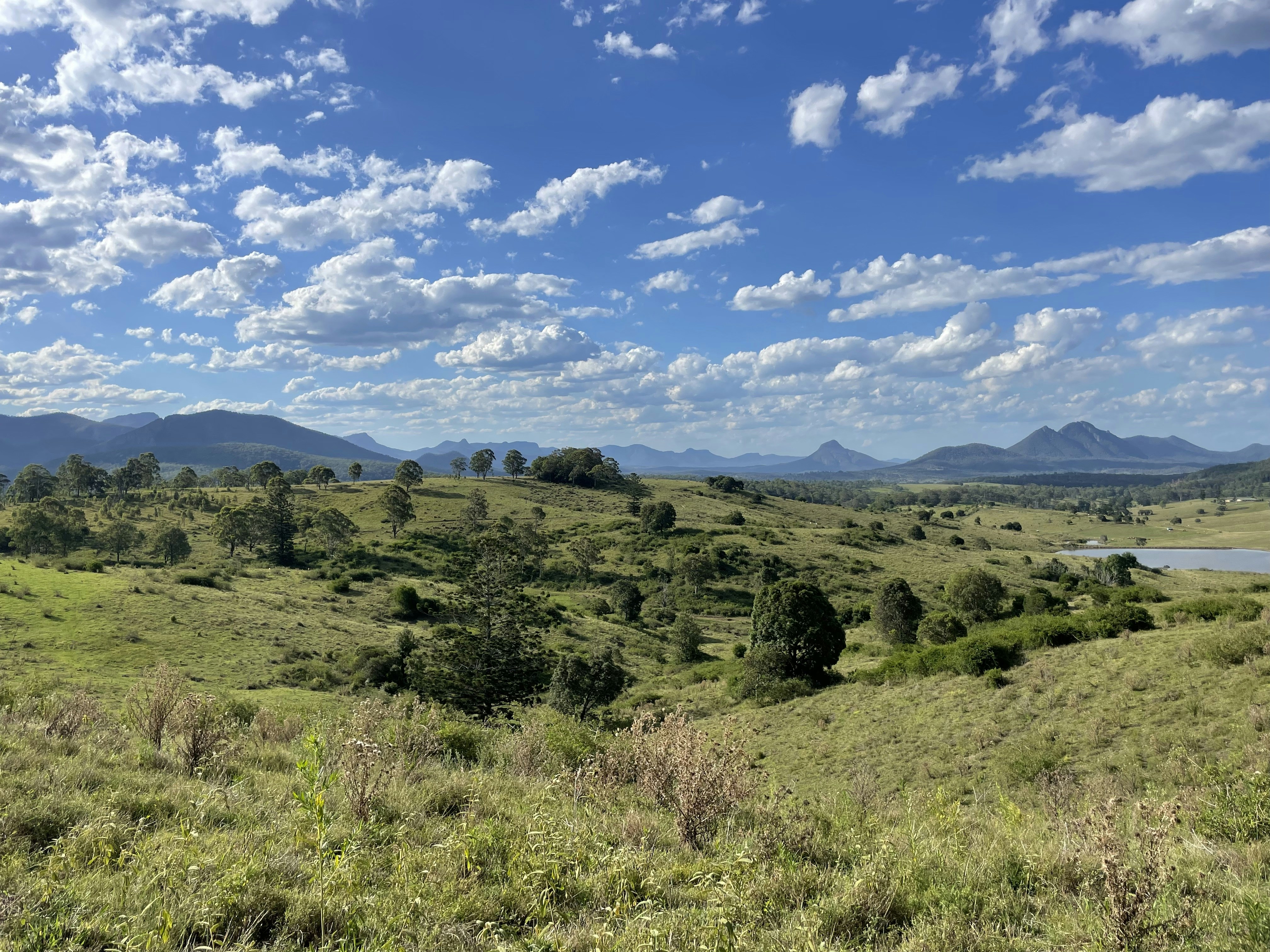 a grassy field with a lake and mountains in the distance