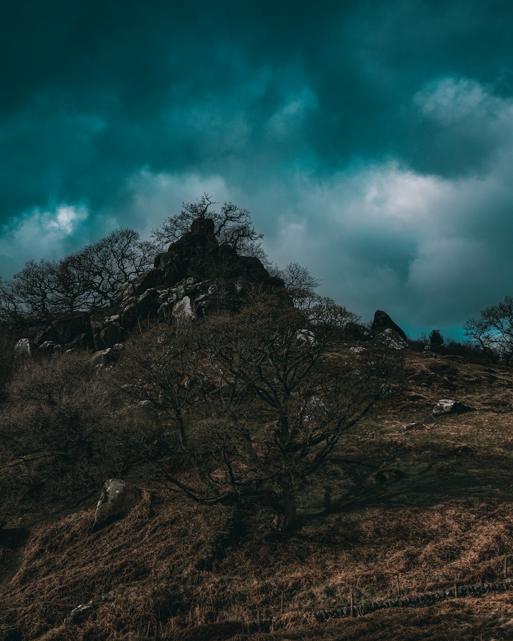 a hill with a tree on it under a cloudy sky