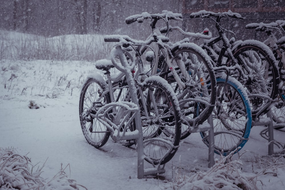 a bunch of bikes that are sitting in the snow