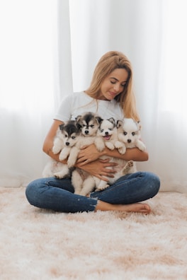 portal do aumigo, adestramento, especialista em comportamento canino of puppies