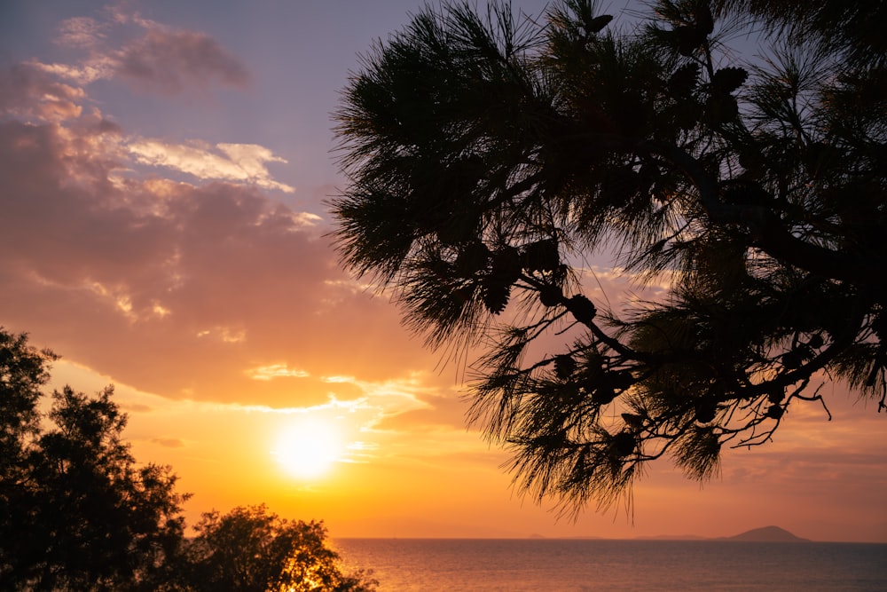 the sun is setting over the water and trees