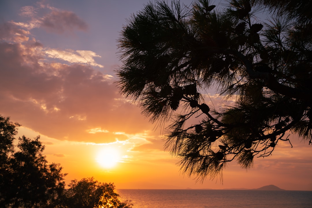 the sun is setting over the water and trees,