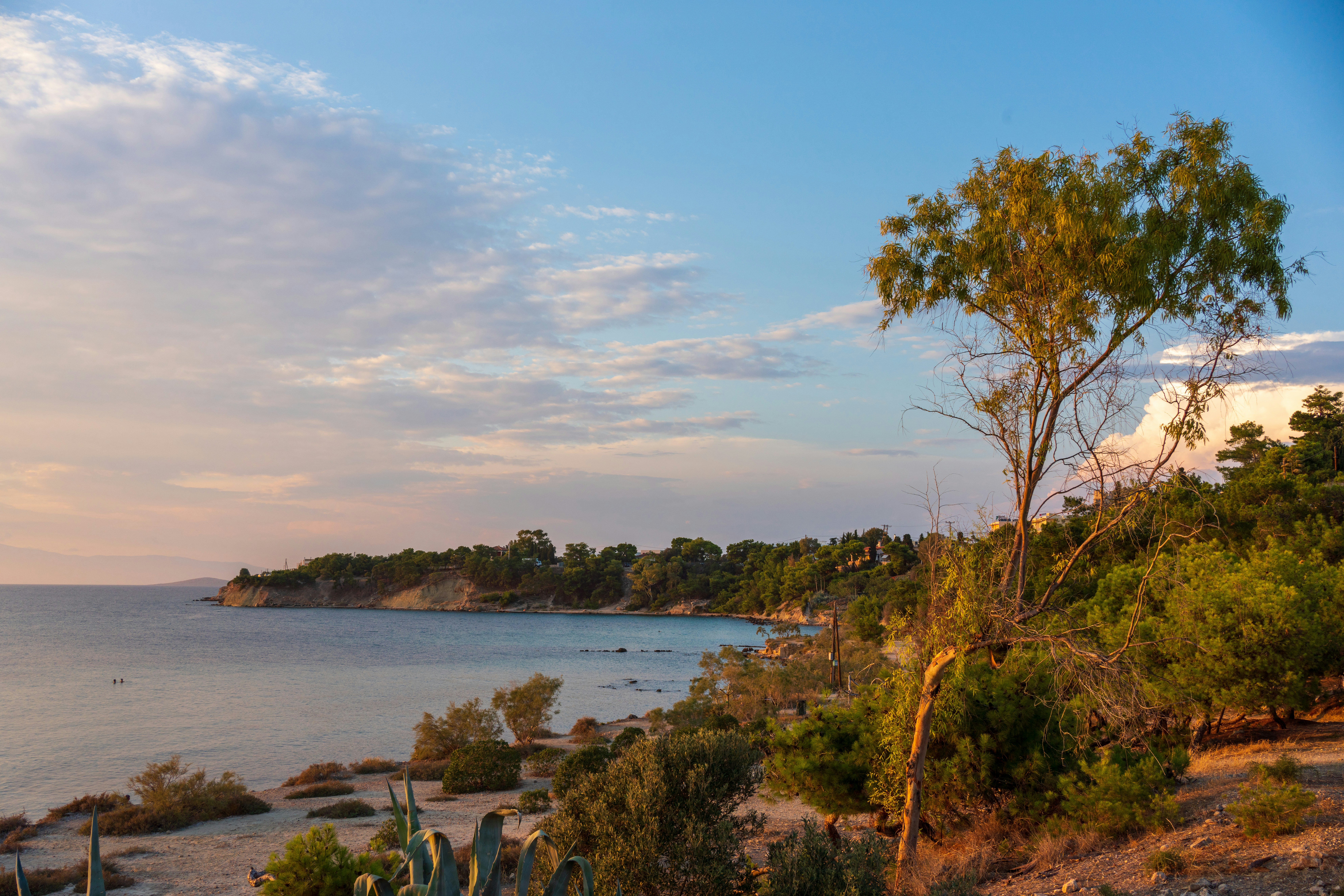 Photo by hunorkerekes