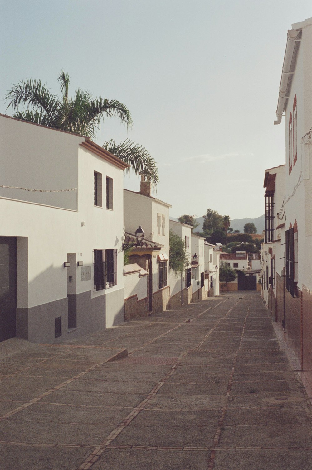 an empty street with buildings and a palm tree