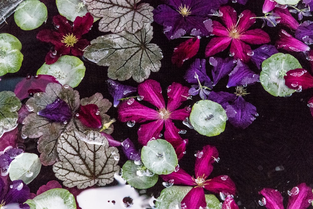 a bunch of flowers that are floating in some water
