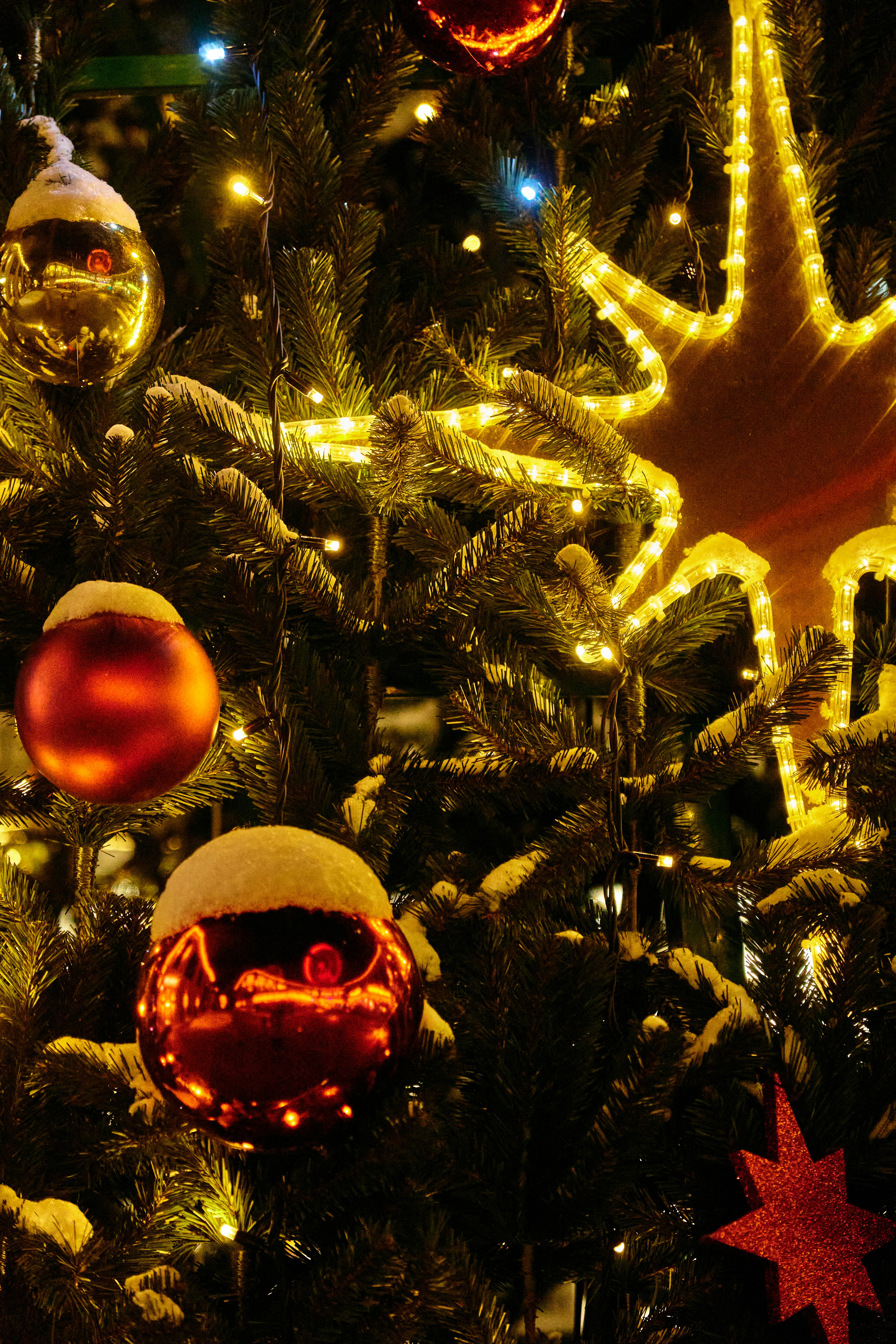 Photo by lostillusion