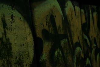 Dark graffiti art covers a concrete wall, with abstract shapes and shadowy textures. The muted greenish tones blend with darker shadows, creating a mysterious and gritty atmosphere.