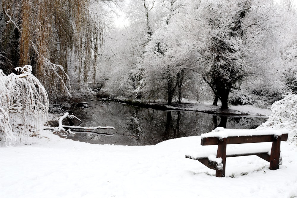 a park bench covered in snow next to a river