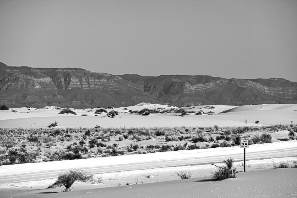 a black and white photo of a desert landscape