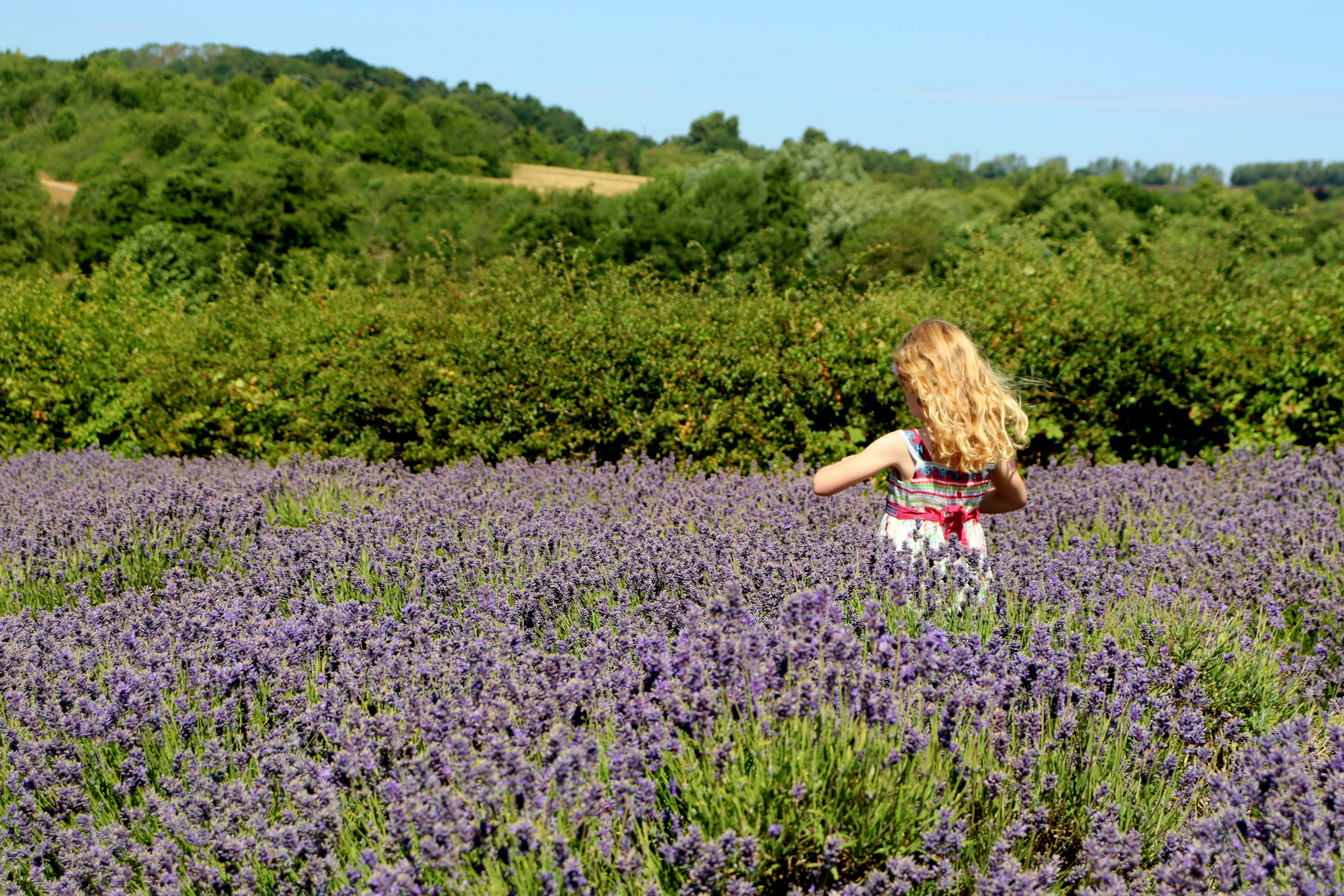 Photo by wallace1bexley