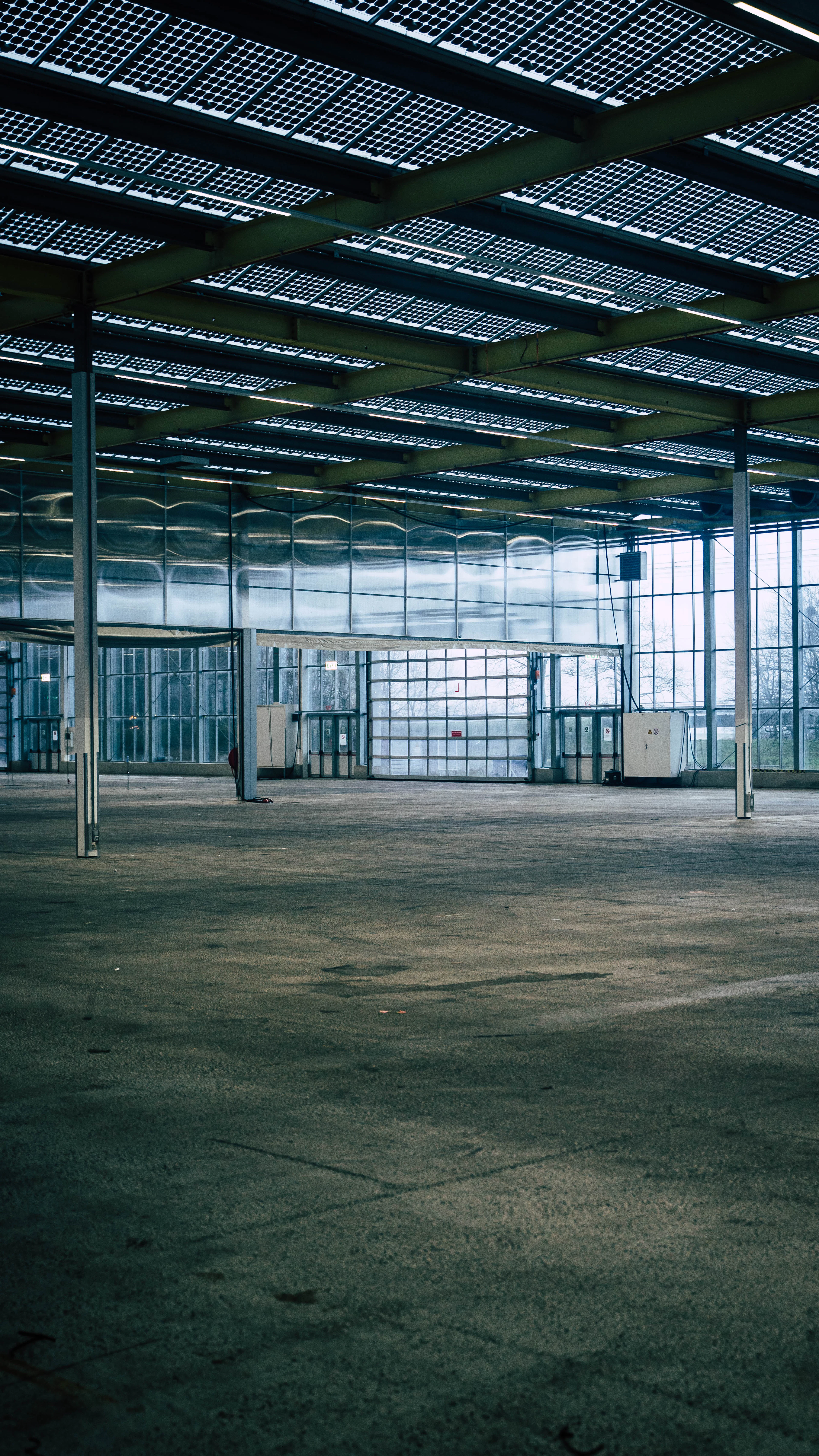 Commercial Cleanup in Smithfield, NC — before