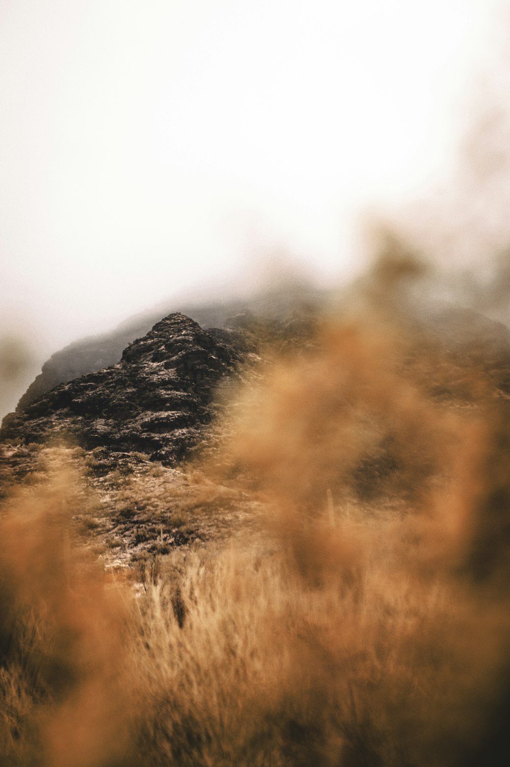 a blurry photo of a mountain with a bird perched on top of it