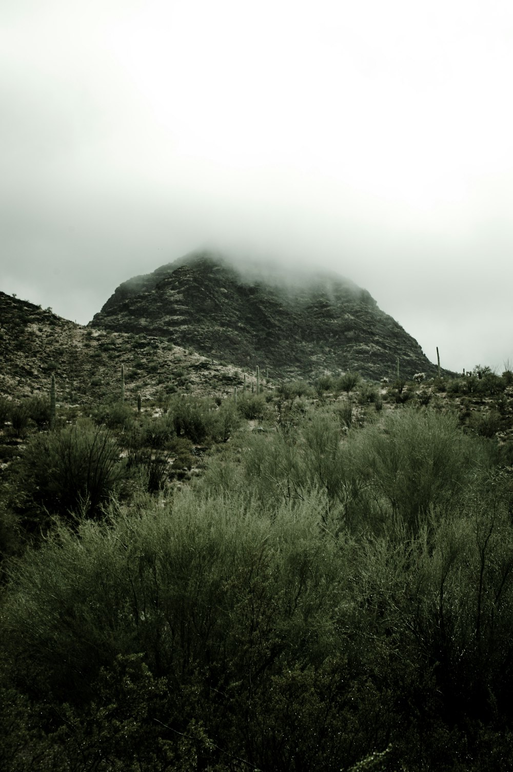 a mountain covered in fog and low clouds