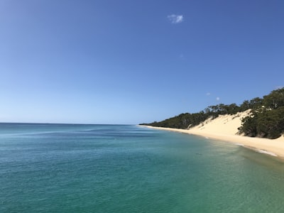 Moreton Island Günübirlik