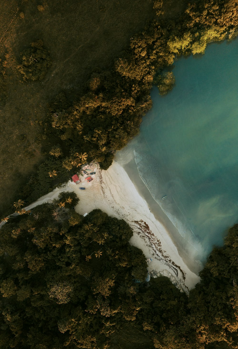 an aerial view of a body of water surrounded by trees