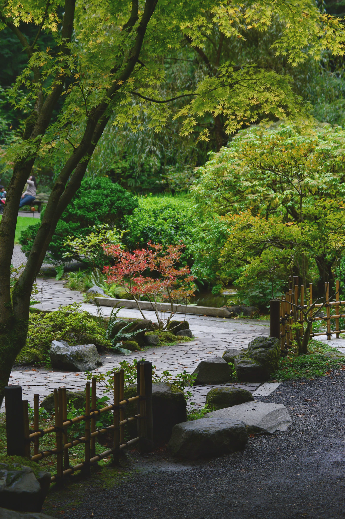 Allée de pas japonais entre rochers et arbres, jardin réalisé à Sceaux