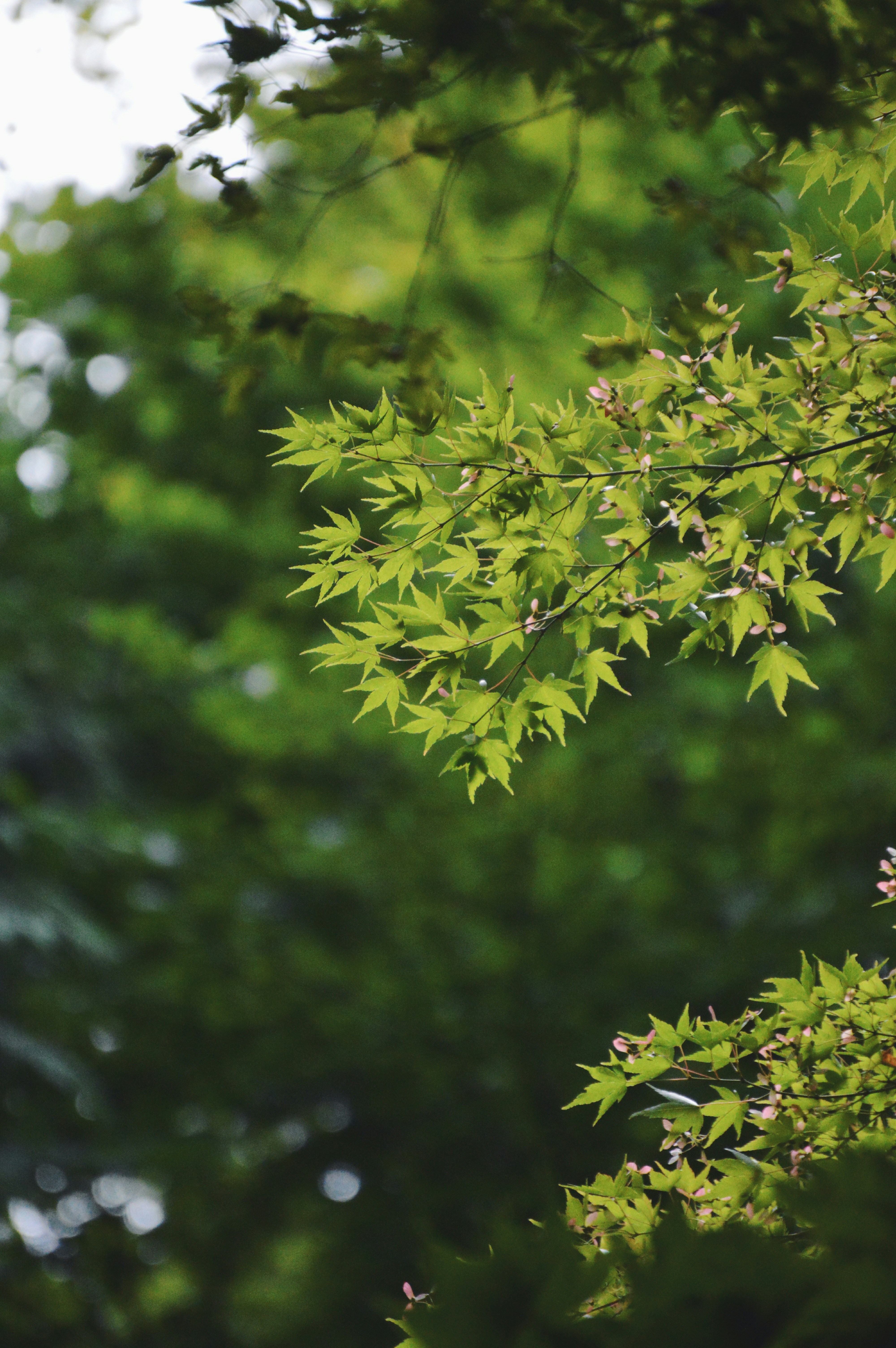 Photo by jain_abhishek