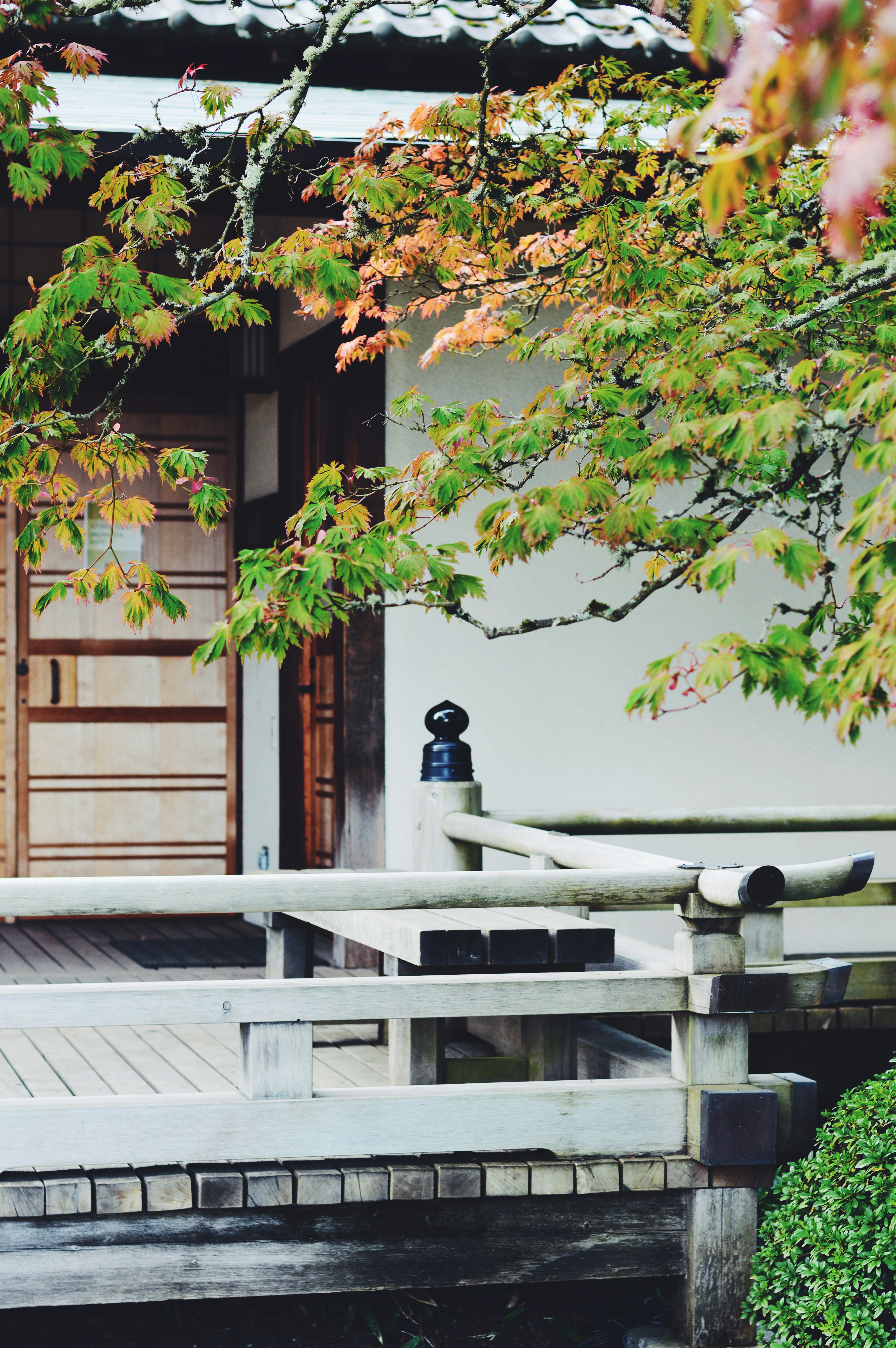 Photo by jain_abhishek