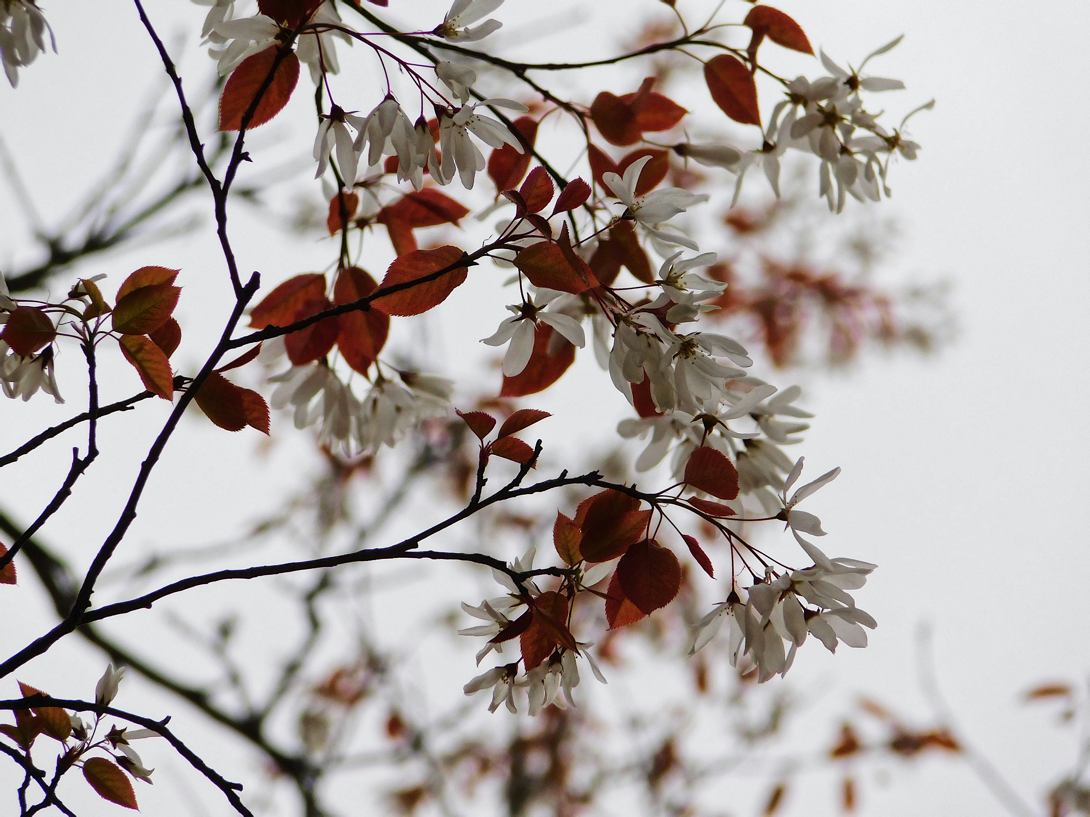 Photo by chloeroberts2311