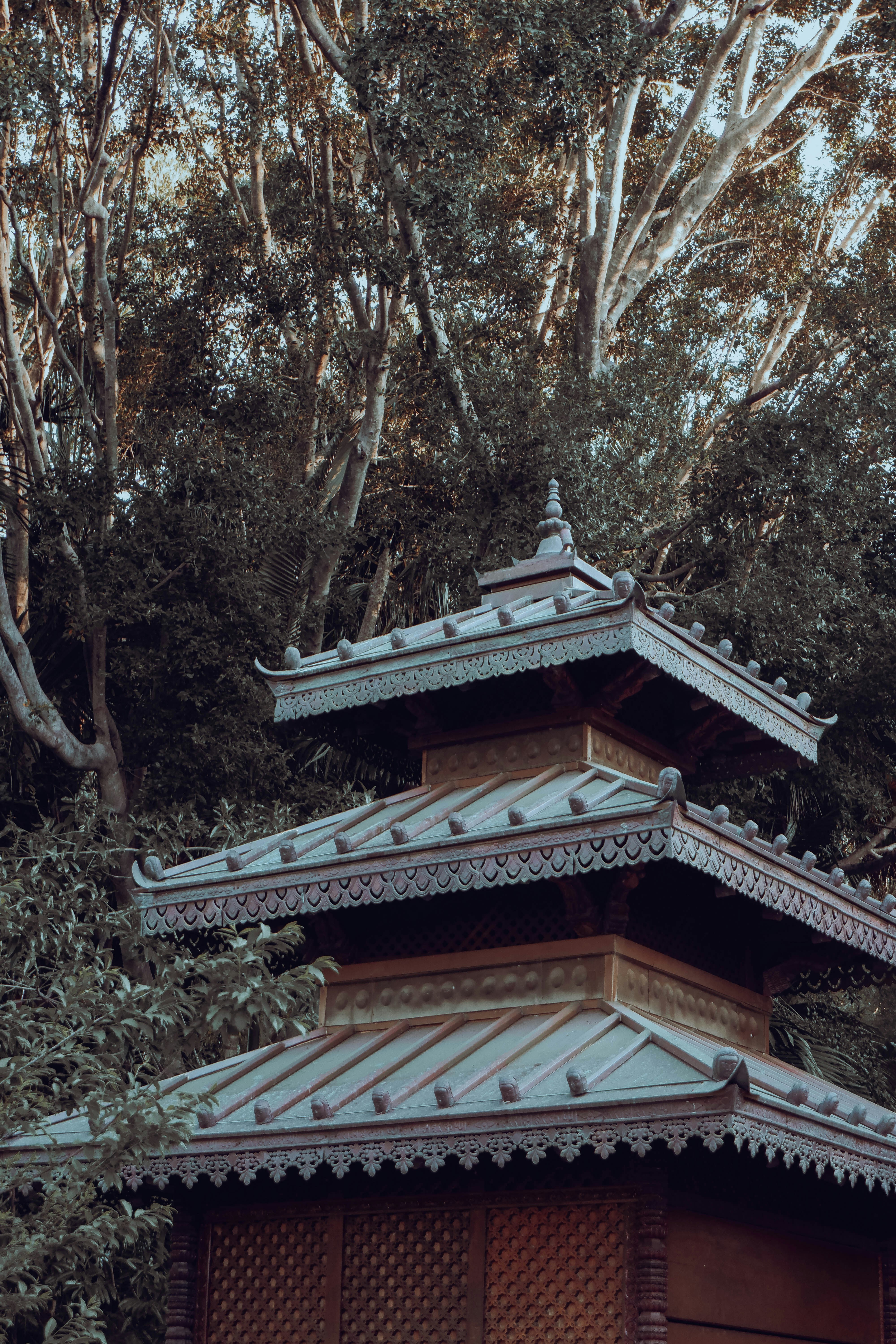 Photo by therealjevie