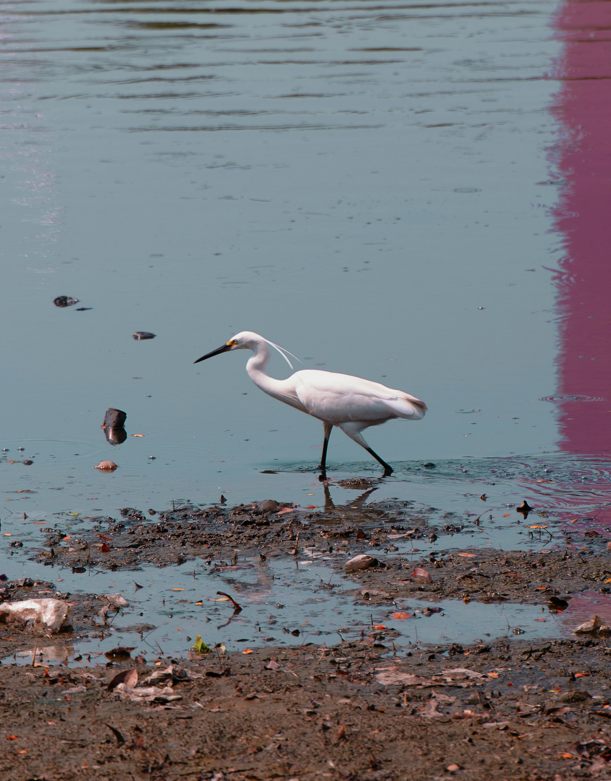 Photo by naufalakbar