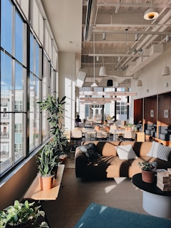 Casual meeting in a bright room with plants and modern furniture