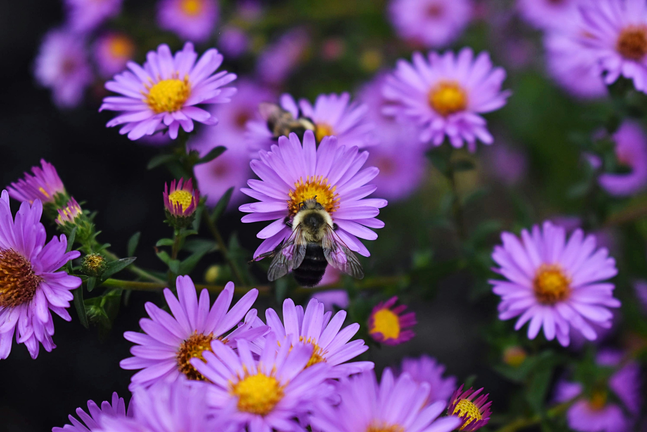 Photo by photoswithgabe