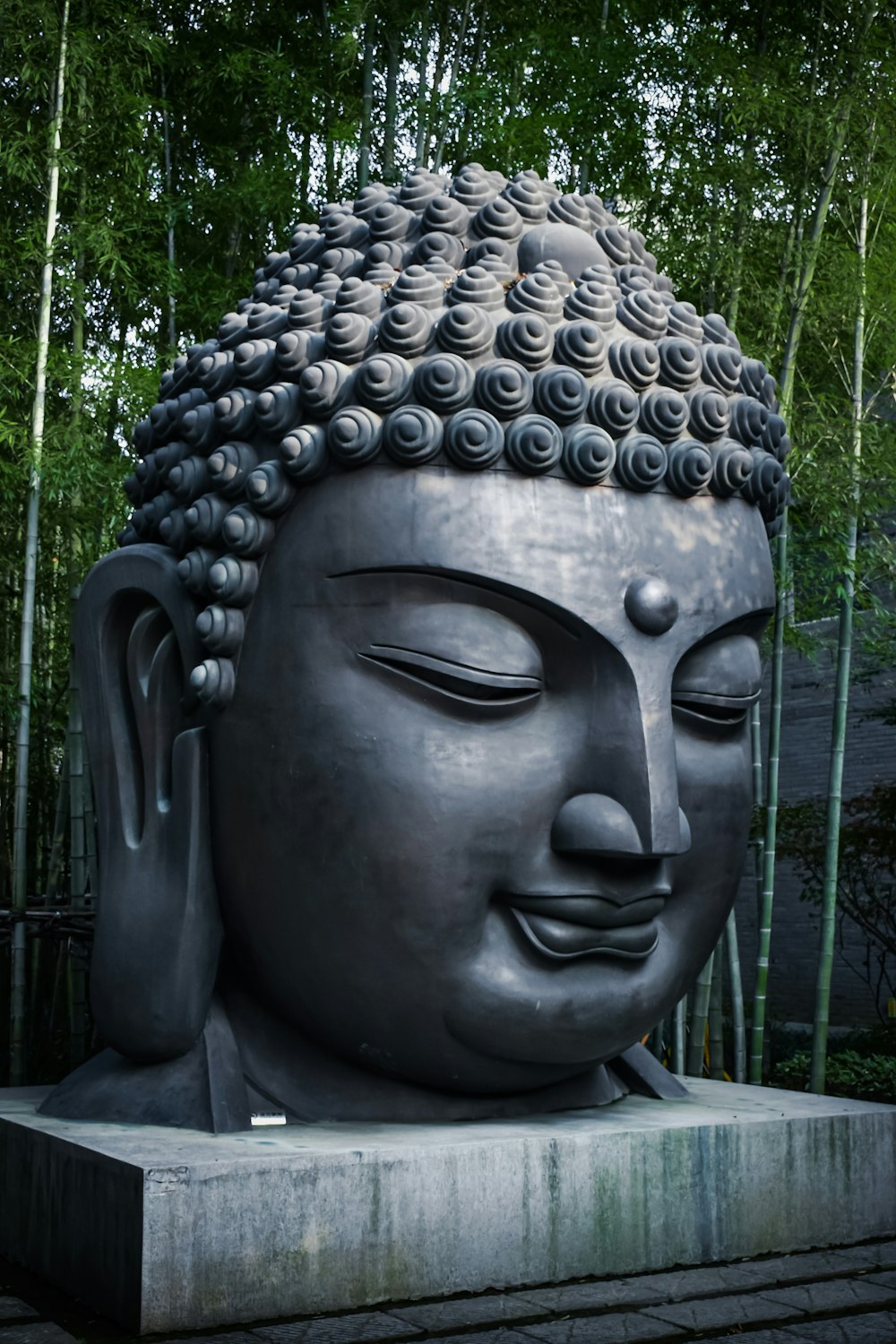 a statue of a buddha in front of a bamboo tree