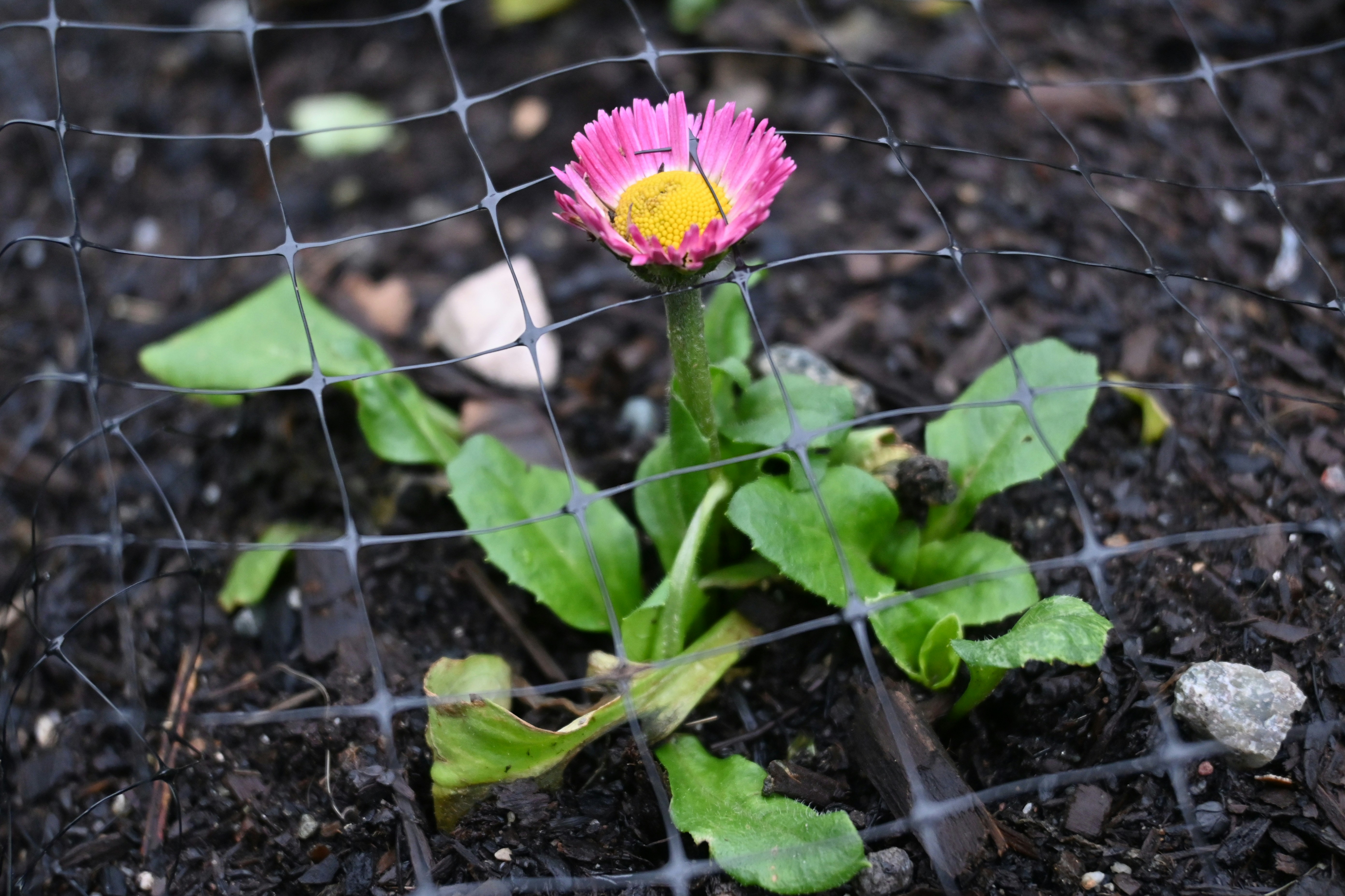 Photo by photoswithgabe