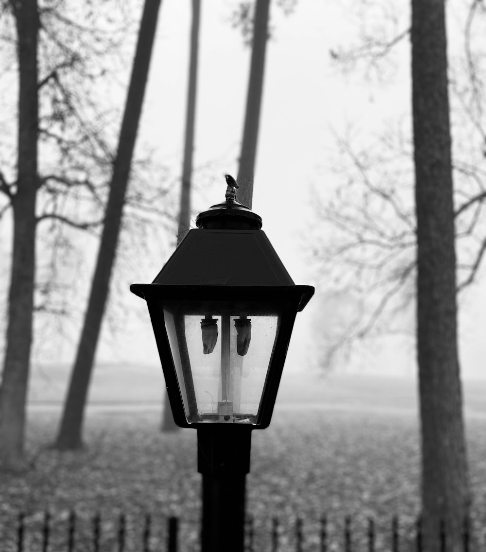 a black and white photo of a street light