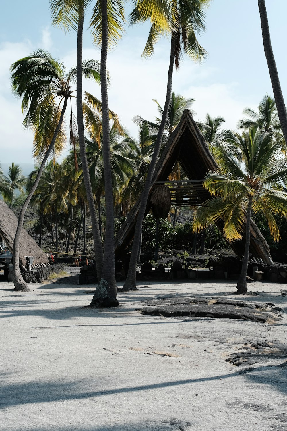 a beach area with palm trees and a hut