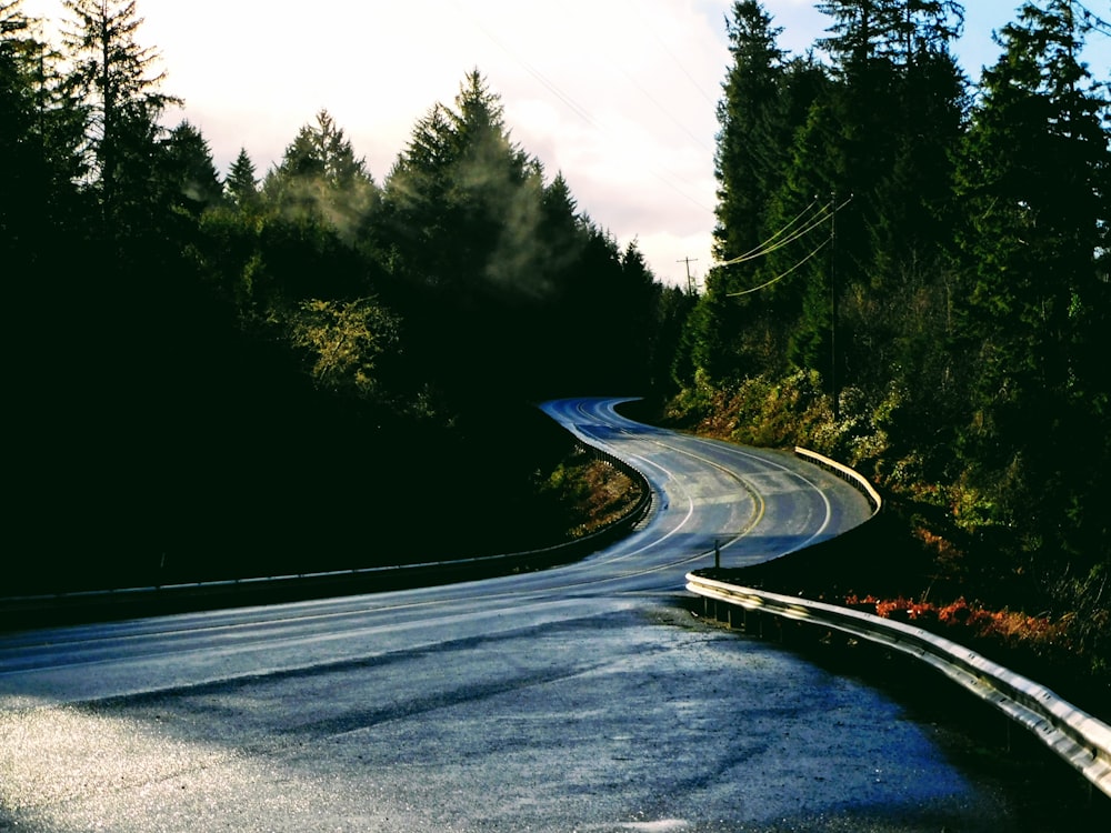 a curved road in the middle of a forest