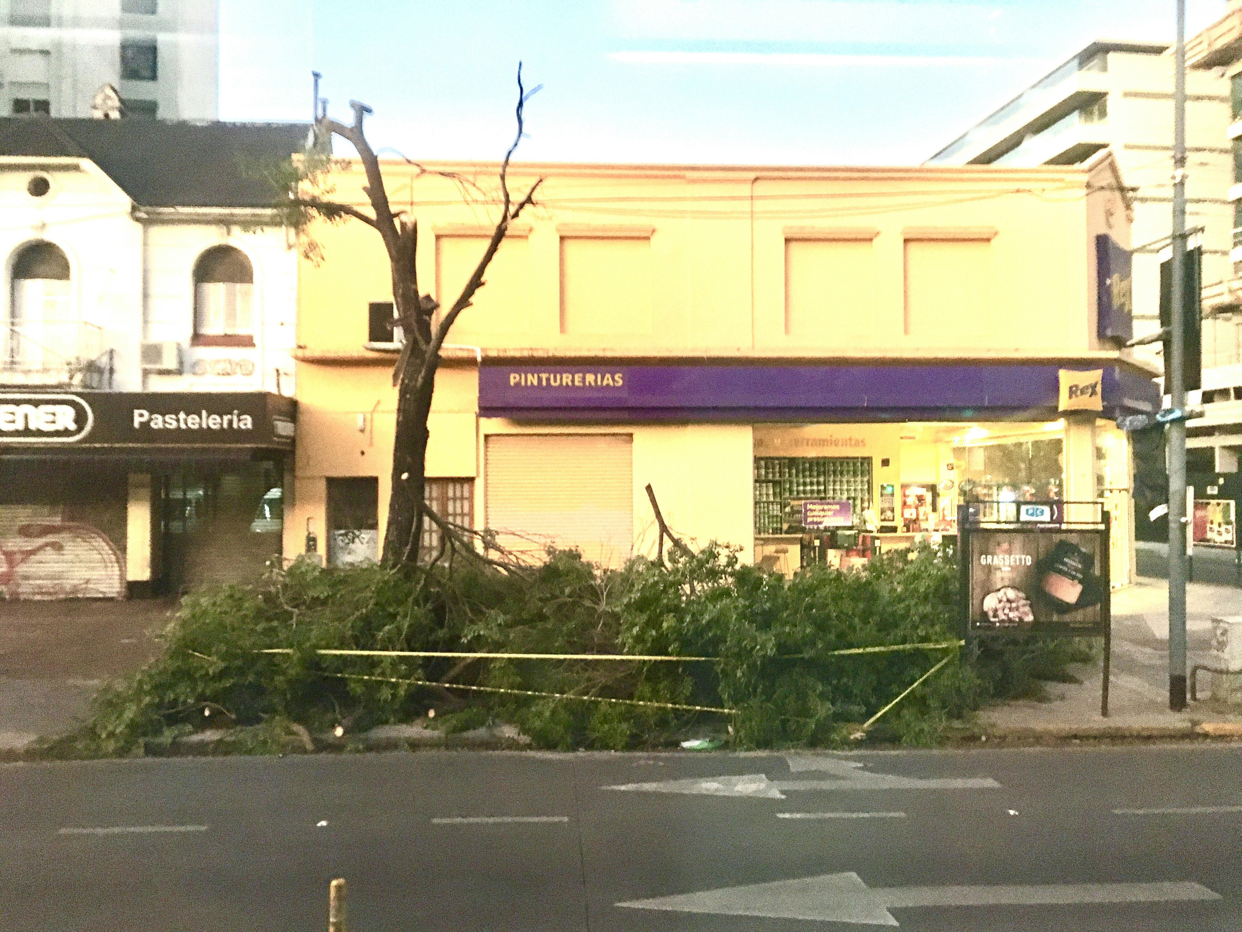damaged storefront after storm - buy business insurance online