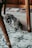 A gray striped cat with orange eyes is lying on a patterned tile floor. Wooden furniture legs are visible nearby, giving the scene a cozy indoor setting.