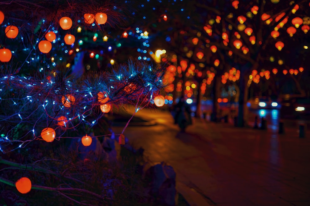 un montón de luces que están en un árbol