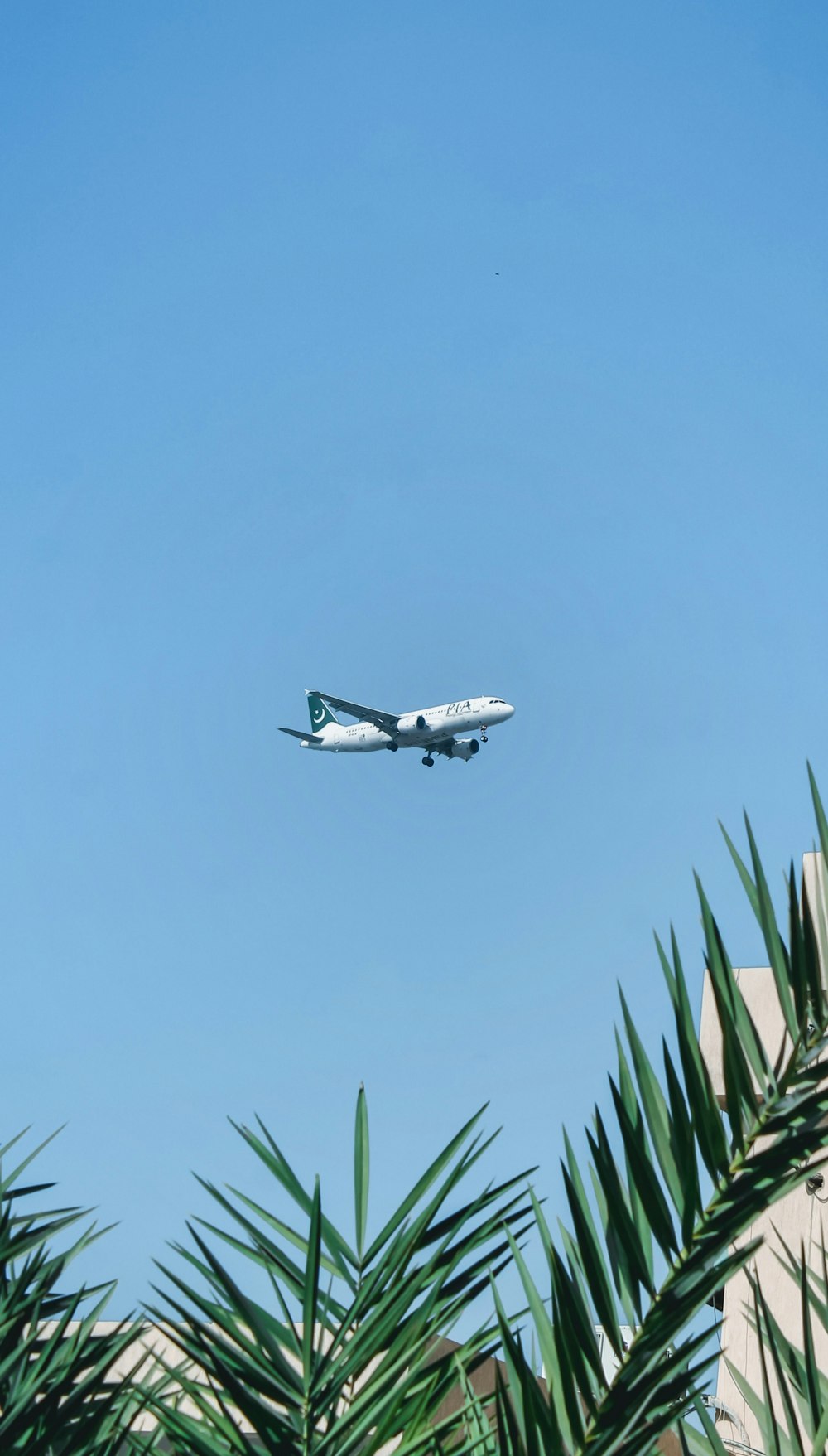 an airplane is flying over a building and palm trees
