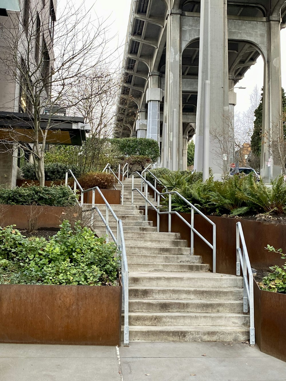a bunch of plants that are on some steps