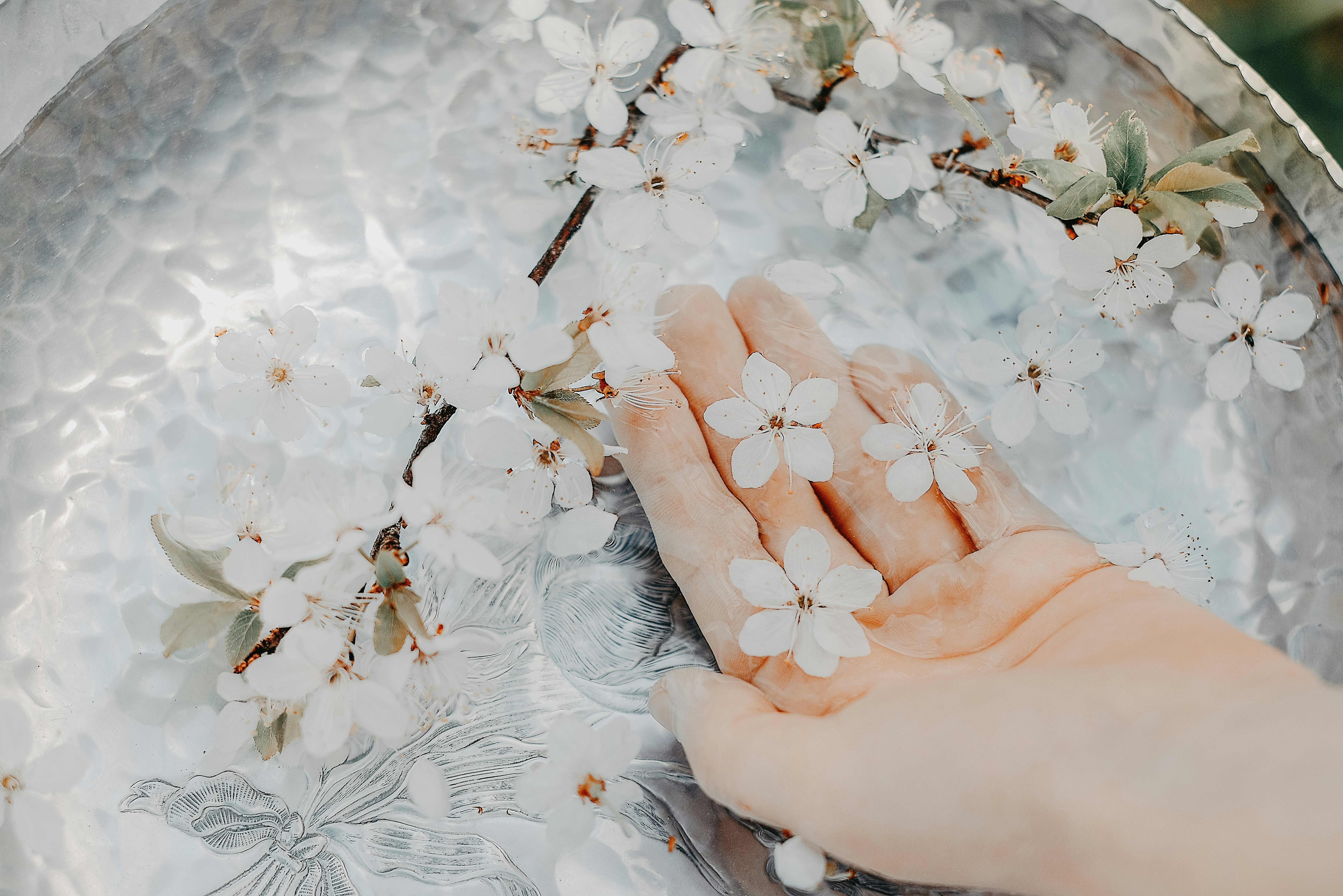 Photo by anitaaustvika